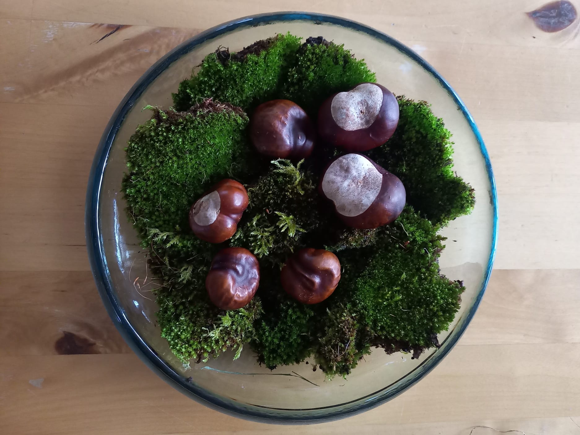 Herbst-Zeit ist Kastanien-Zeit -